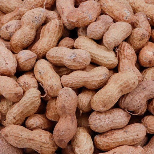 Kabuklu Fıstık (Kavrulmuş) 500gr